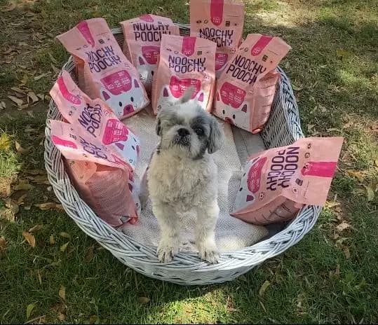 Noochy Poochy dog food blend each of their recipes with superfood nutritional yeast (nooch!) for a delicious, vegan and sustainable cheesy base flavour.