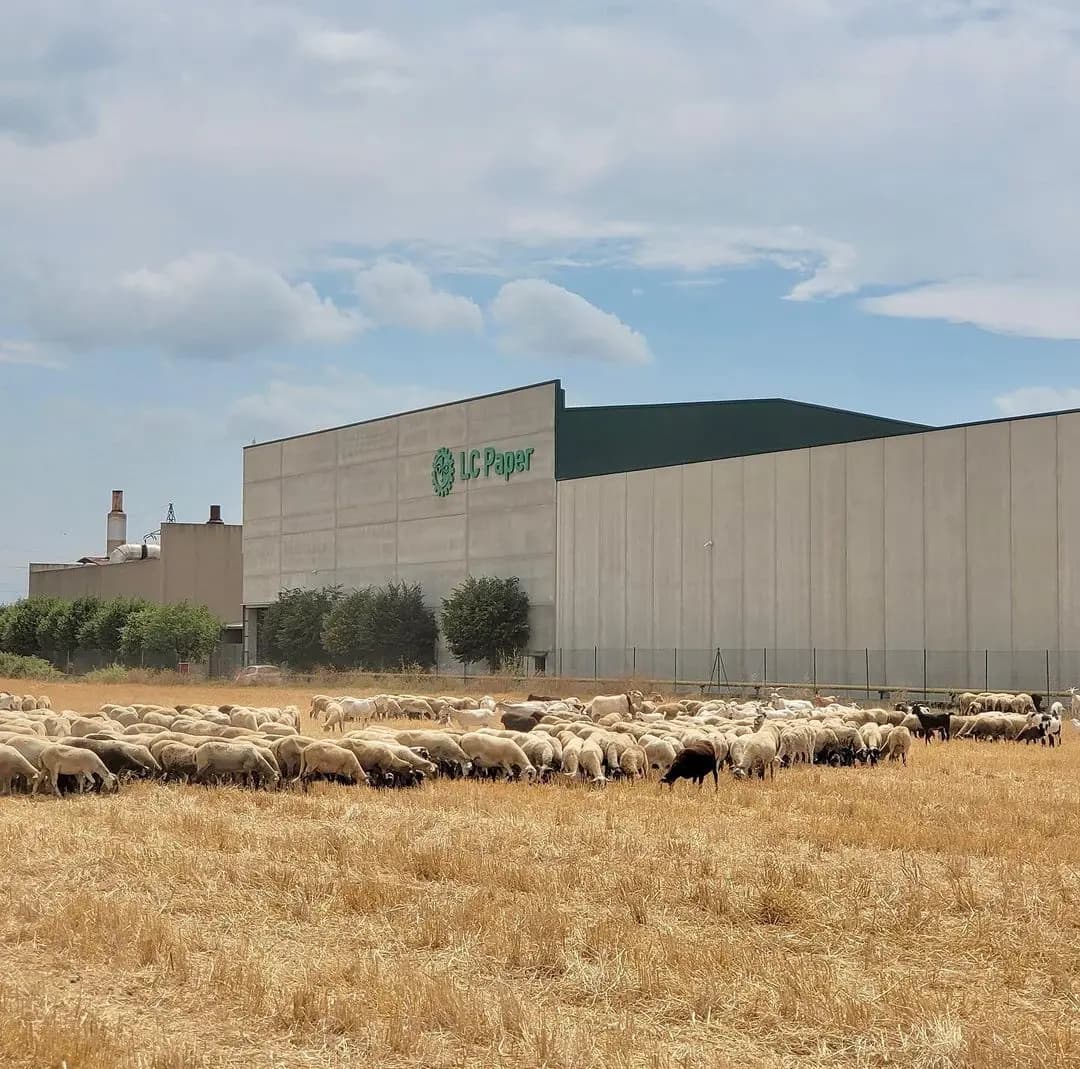 The factory is surrounded by sheep farms and their sheep help to make Naked Sprout! The organic waste from local herds is collected in tanks where it naturally ferments. The gas created just needs to go through a simple refining process before being added to the pipe system.
